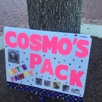 Team Page: Cosmo's Pack